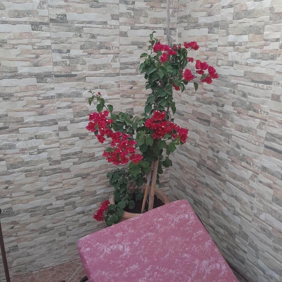 Riad Bab Almadina Marrakesh Luaran gambar